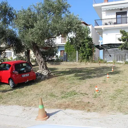 Archodiko Toliadi *