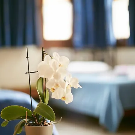 Archodiko Toliadi Boutique And 4* Ουρανούπολη